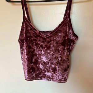 Velvety Fuchsia Crop